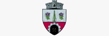 SarulDorneiLogo